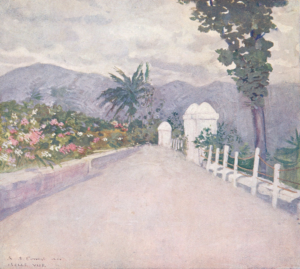 WEST INDIES. A Terrace Garden on the Hills, Jamaica 1905 old antique print